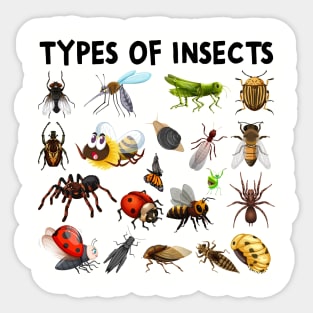 Types Of Insects Bug Identification Science Sticker